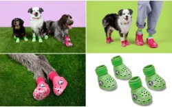 Crocs Pet Crocs