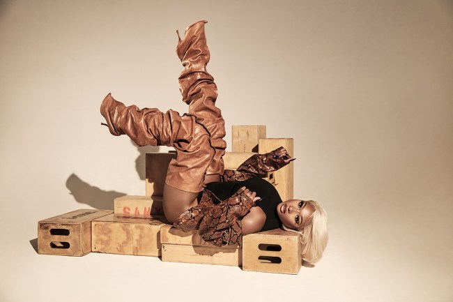 Megan Thee Stallion Portrait